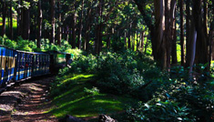 Coimbatore - Ooty - Kodaikanal - Munnar - Thekkdy - Alleppey - Coimbatore